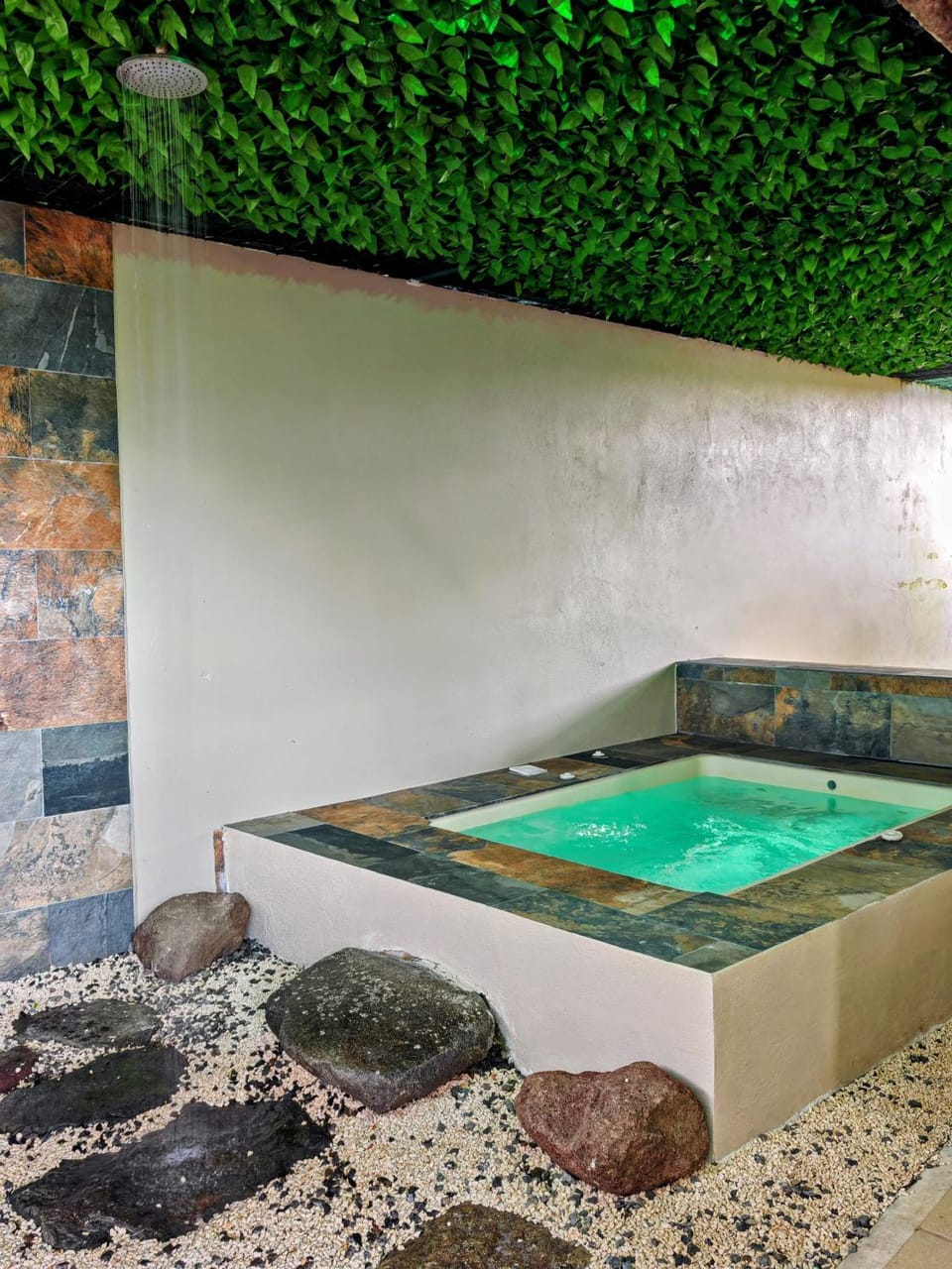 Hot Tub, Swimming pool, Open Air Bath