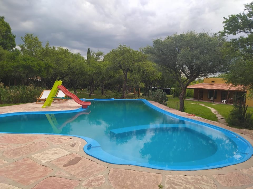 Swimming pool, sunbed