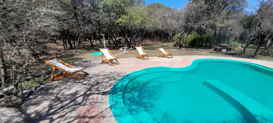 Day, Garden, Garden view, Pool view, Swimming pool, sunbed