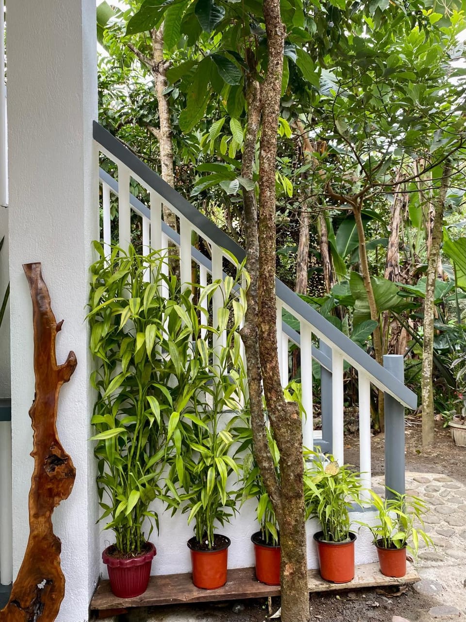 Casa Calanog House in Tagaytay