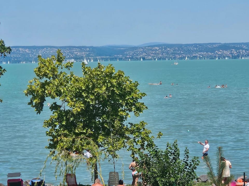 Lake view