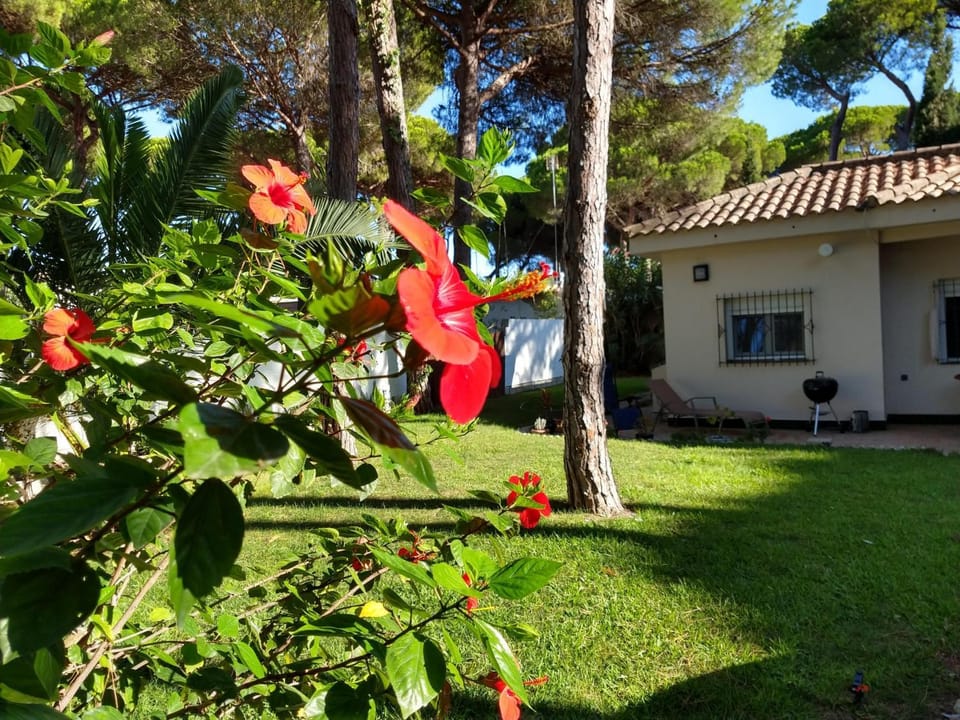 Chalet El Girasol Chalet in Chiclana de la Frontera