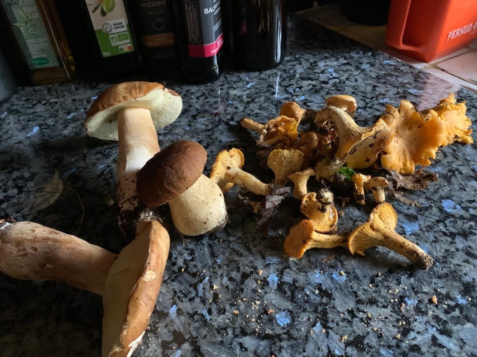 Gîtes de Charme "LE BIBENDÔME" et "LES MOTS BLEUS en pleine forêt House in Occitanie