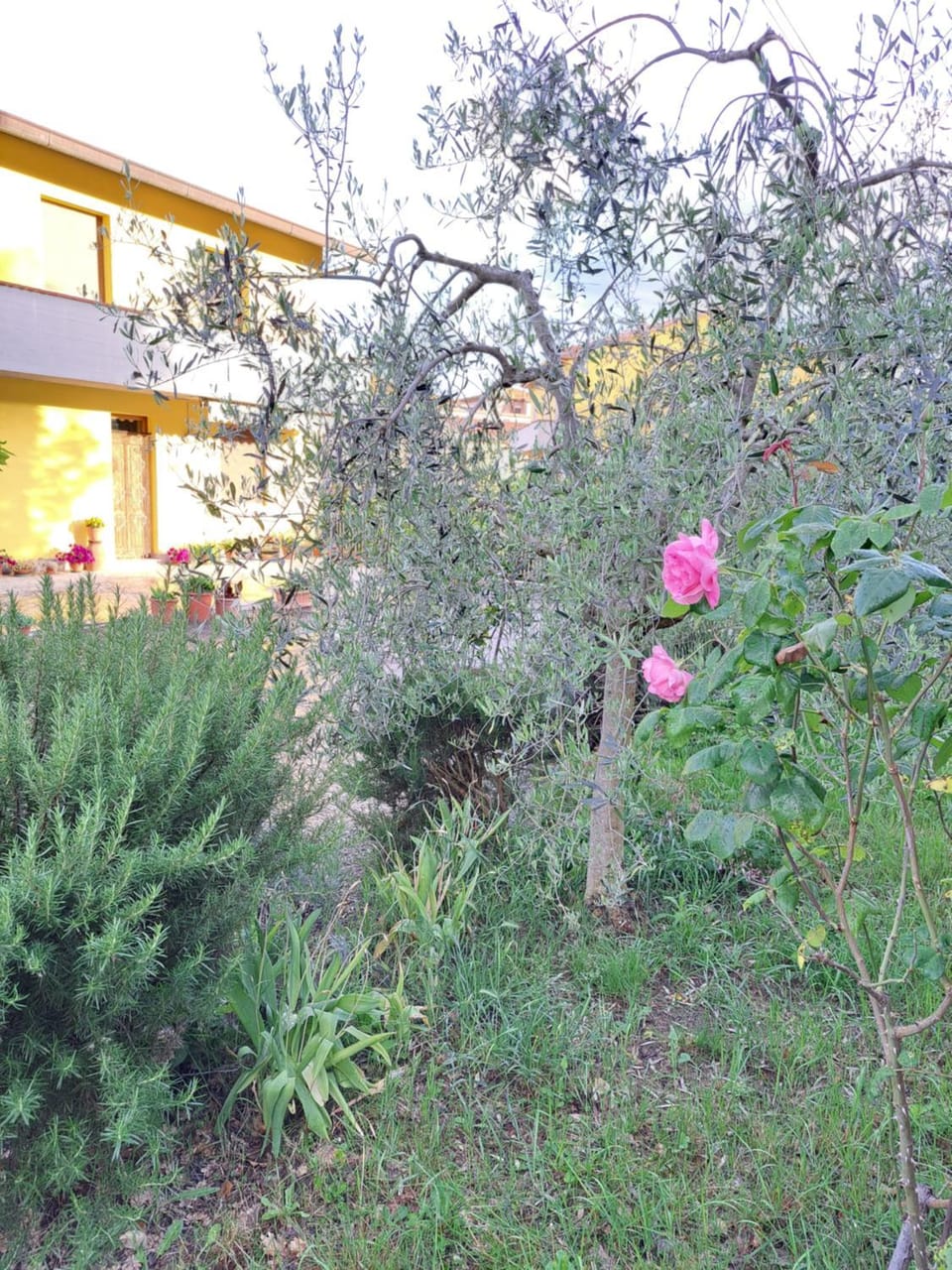 Casa Gli Ulivi House in Tuscany