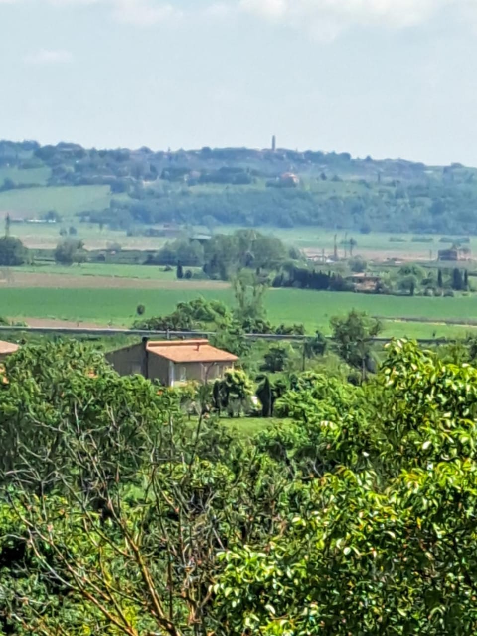 Natural landscape