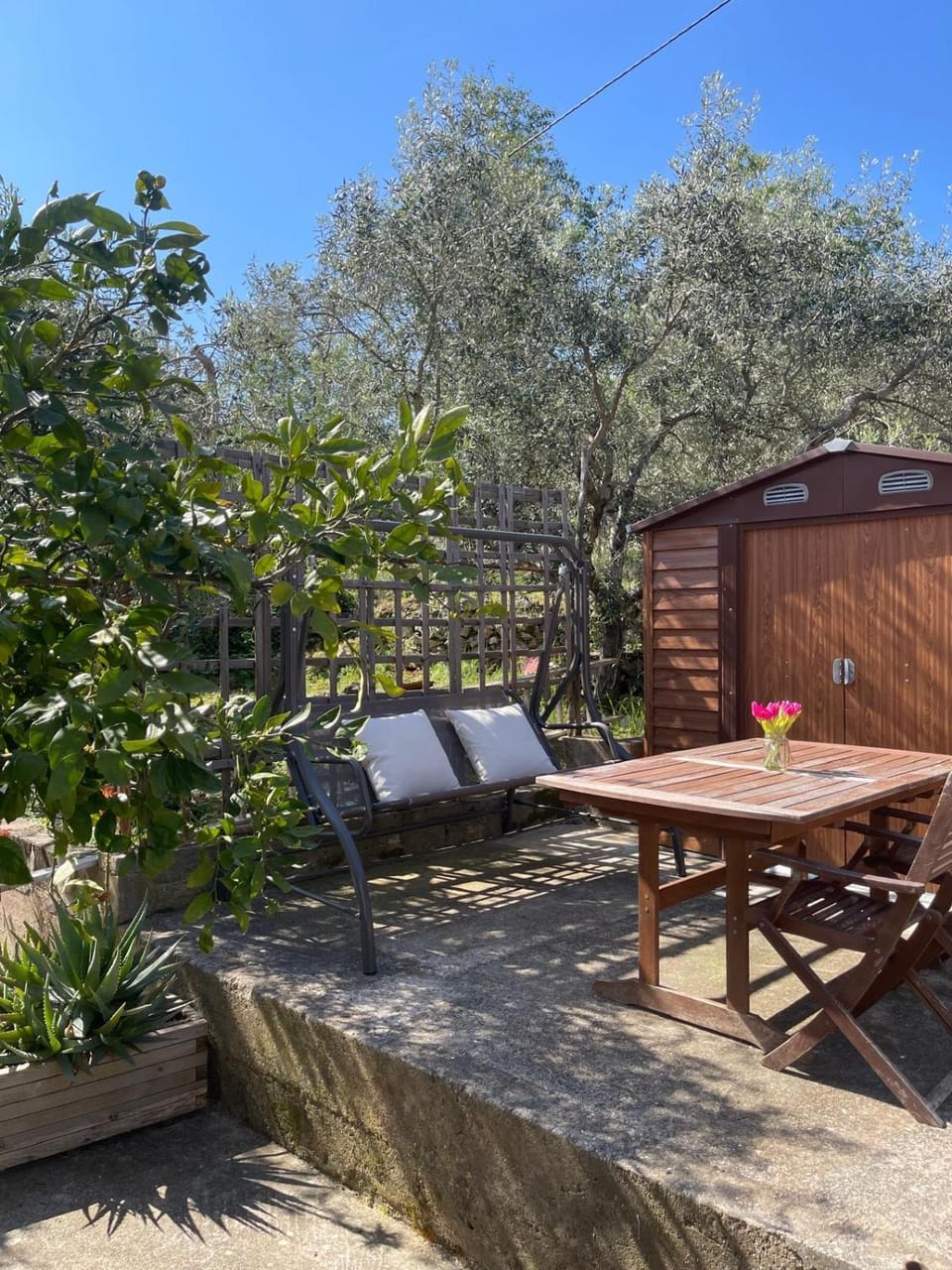 Garden, Dining area, Garden view