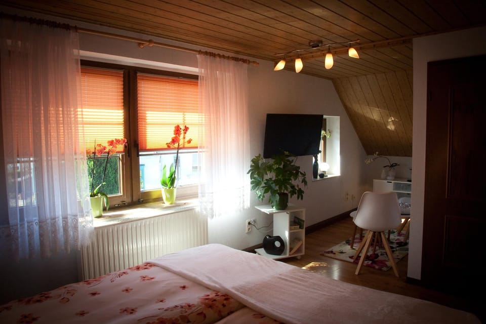 Gästezimmer im Grünen Haus Vacation rental in Erzgebirgskreis