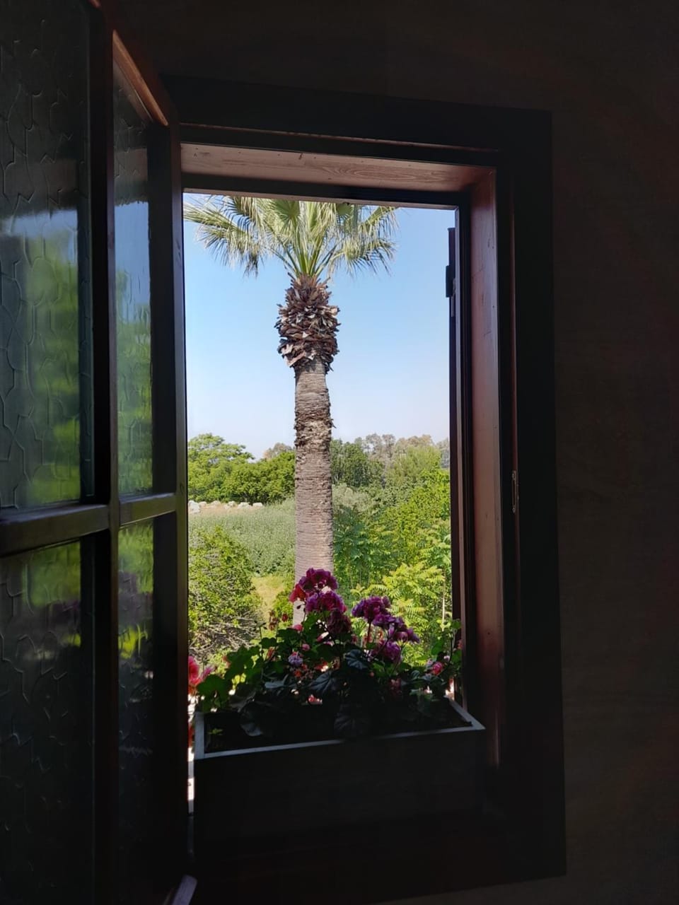 Garden view