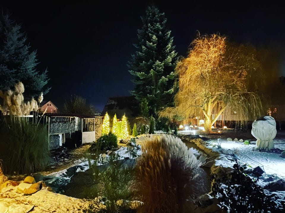 Night, Winter, Garden, Garden view