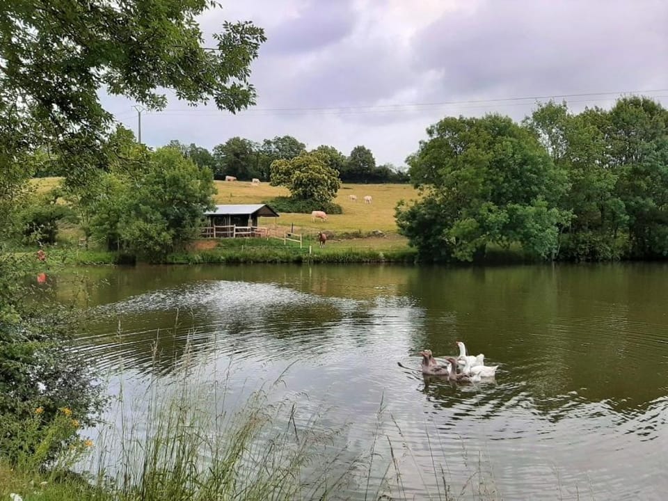 Natural landscape, Lake view