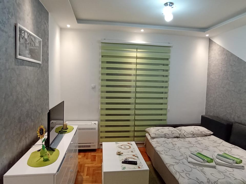 Apartment Leo 11 Apartment in Dubrovnik-Neretva County