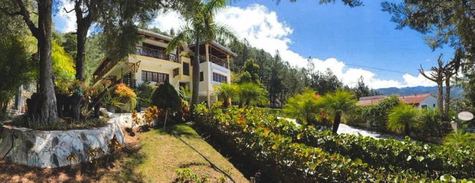 Property building, Garden, Garden view