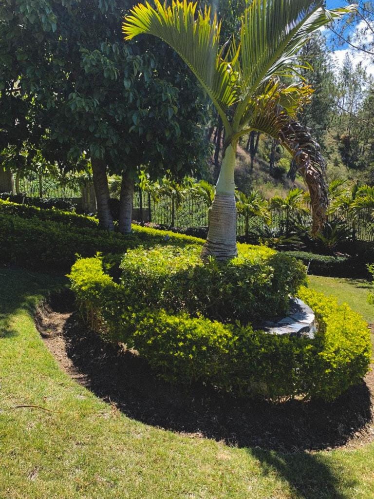 Garden, Garden view
