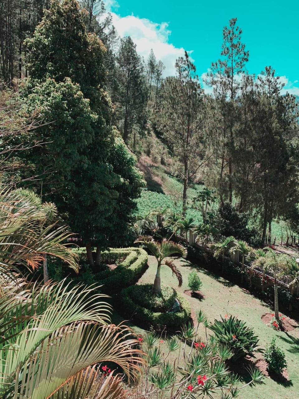 Natural landscape