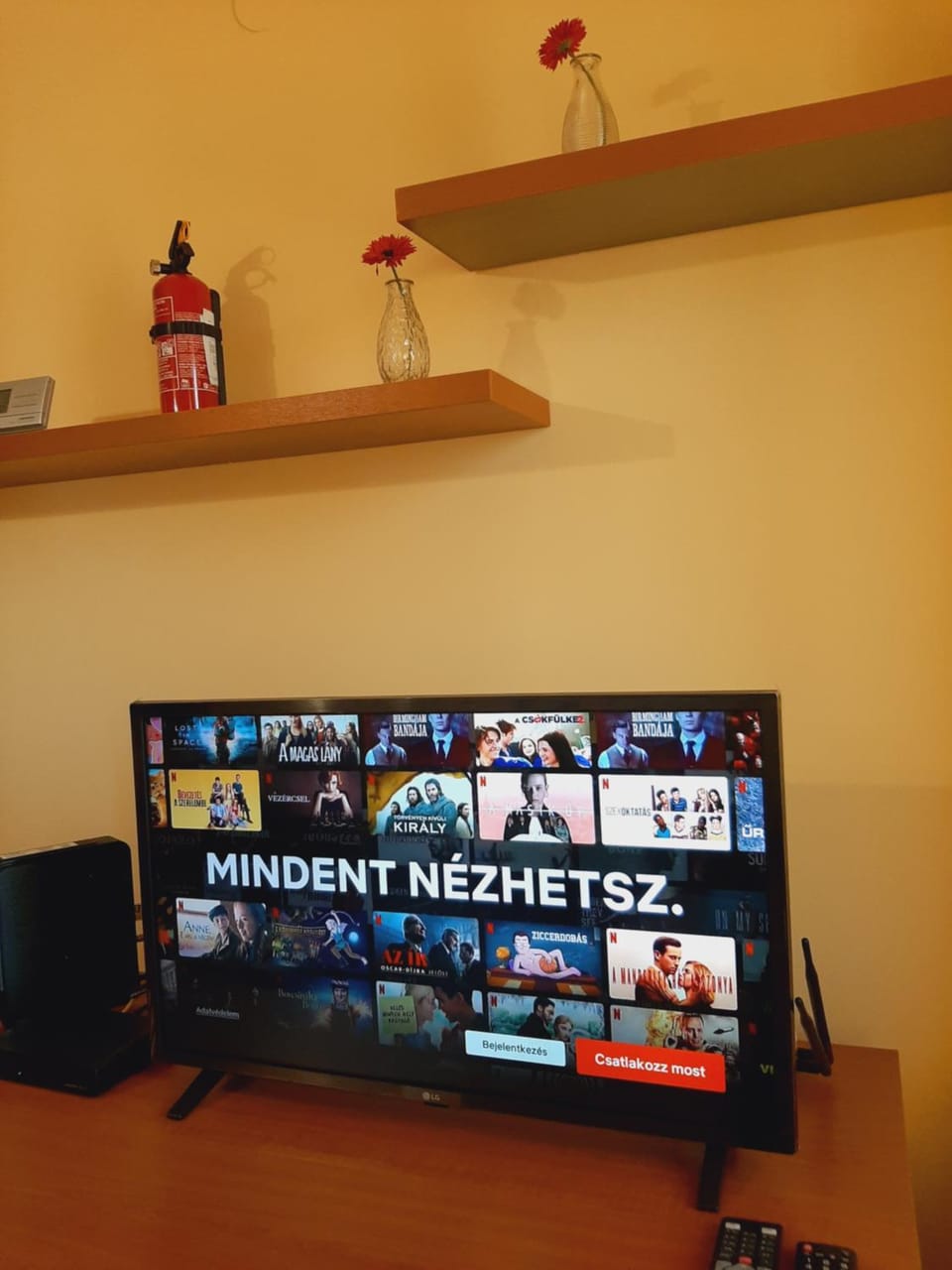TV and multimedia
