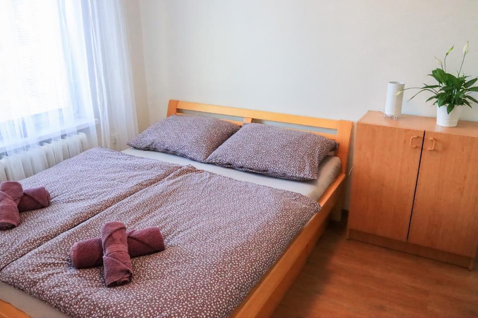 Pohodlný apartmán s ptačí zahradou Apartment in Czechia