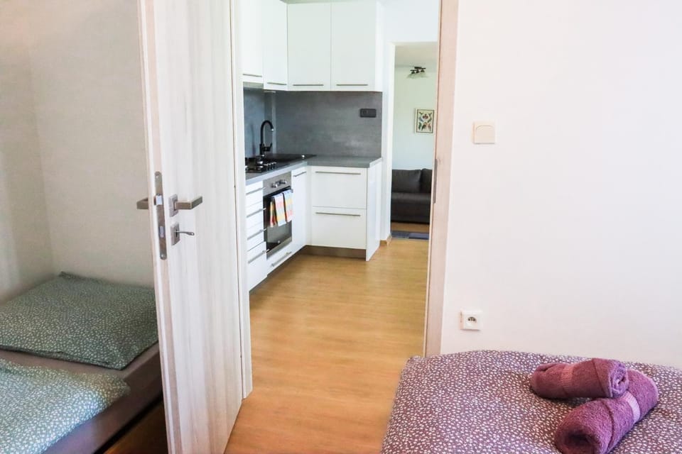 Pohodlný apartmán s ptačí zahradou Apartment in Czechia