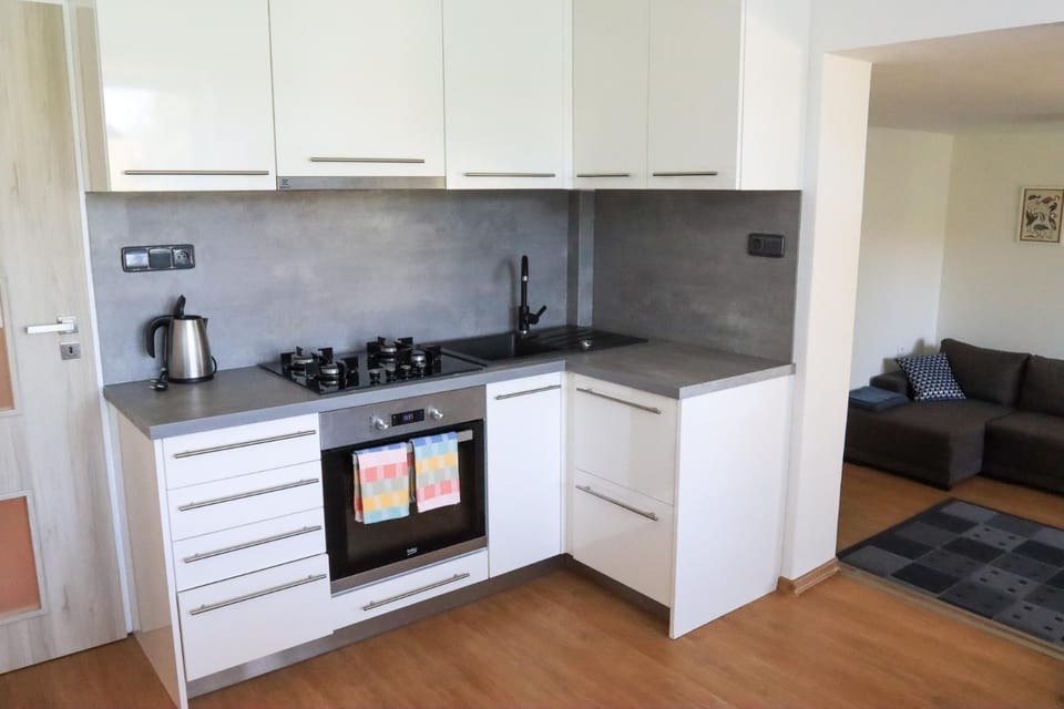 Pohodlný apartmán s ptačí zahradou Apartment in Czechia