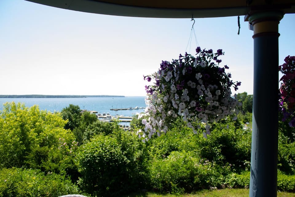 View (from property/room)