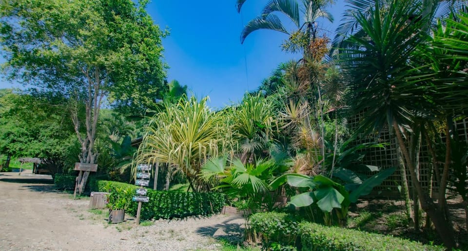 Patio, Garden