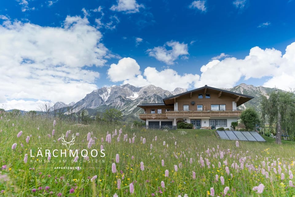 Appartements Lärchmoos Apartment in Schladming