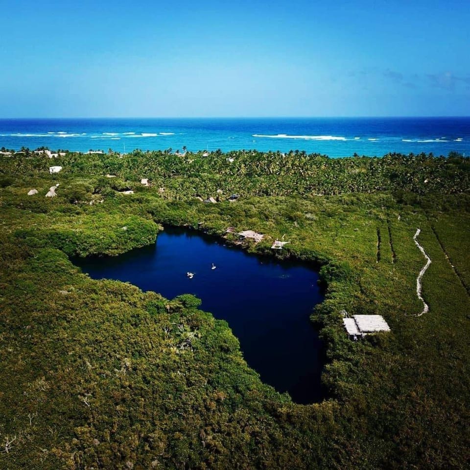 Day, Natural landscape, View (from property/room)