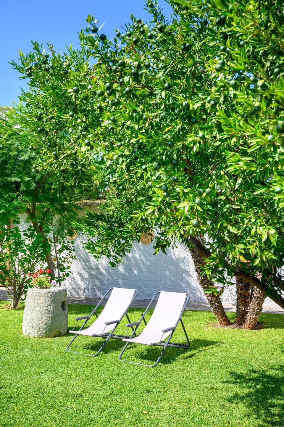 Garden, Garden