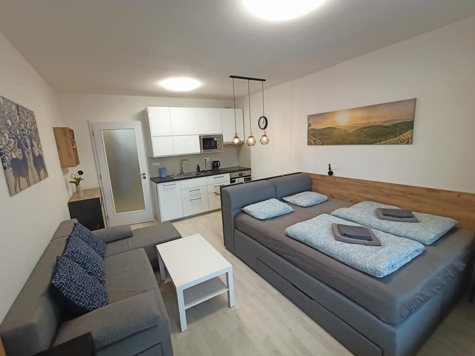 Apartmán LUMI Zadov Apartment in South Bohemian Region