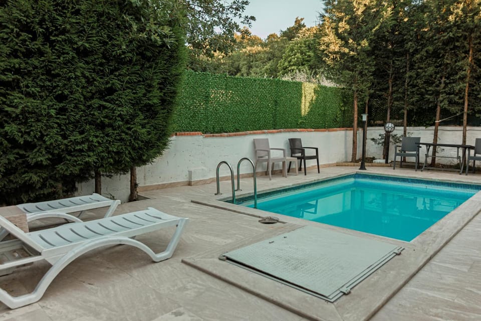 Patio, Day, Garden, Garden view, Pool view, Swimming pool, sunbed