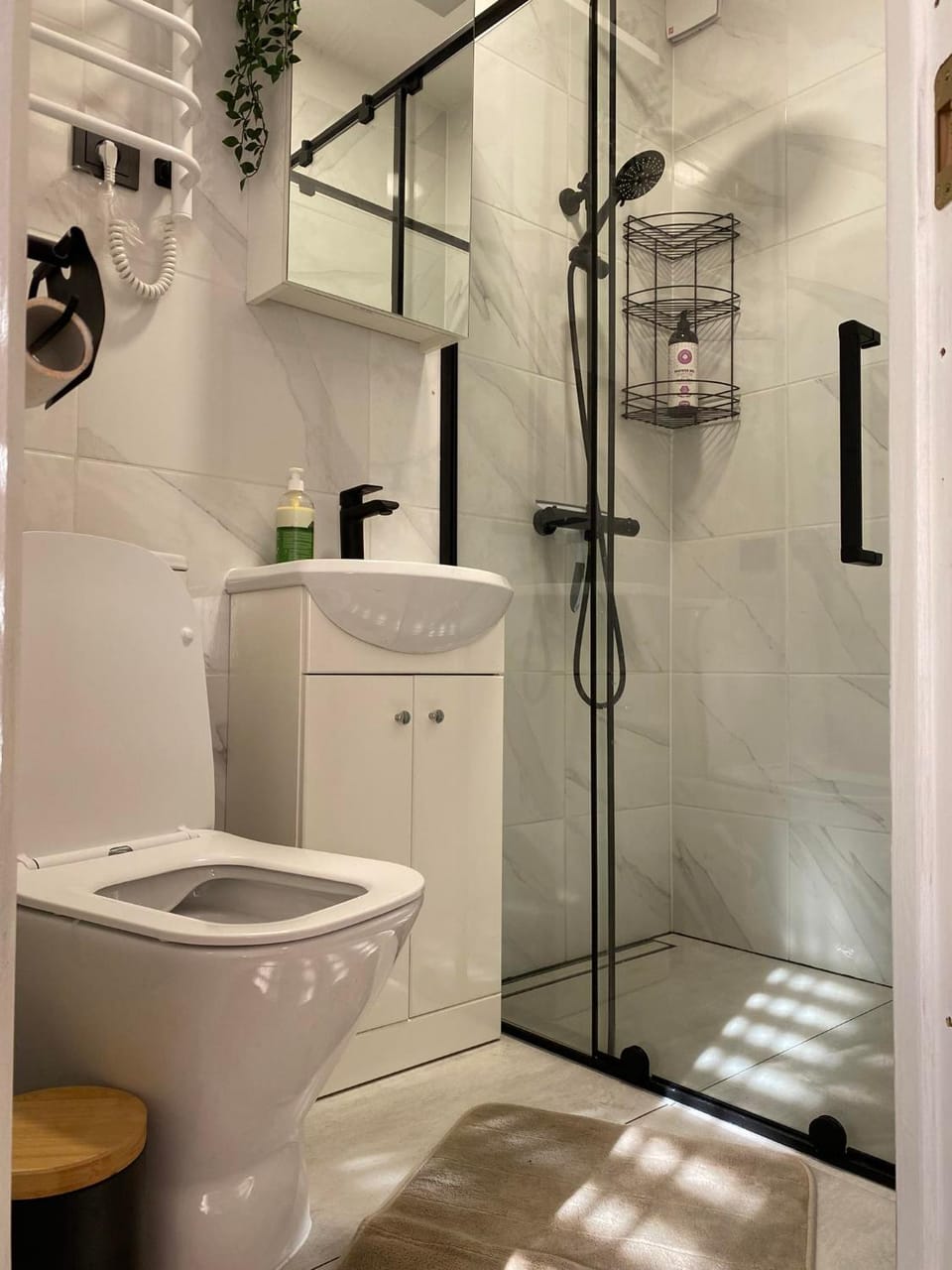 Shower, Toilet