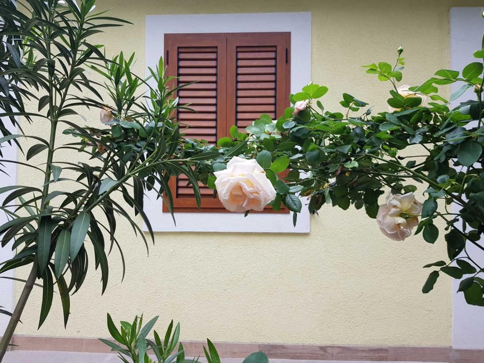 Patio, Facade/entrance