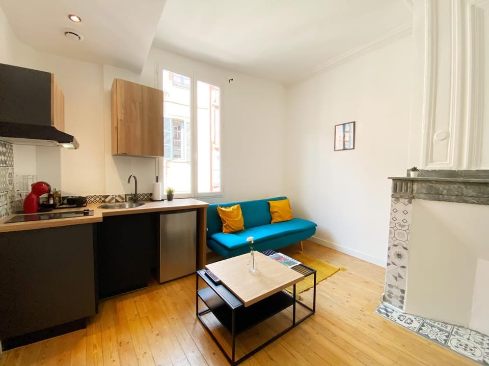 Hypercentre Toulouse 6 joli appartement climatisé et équipé Apartment in Toulouse