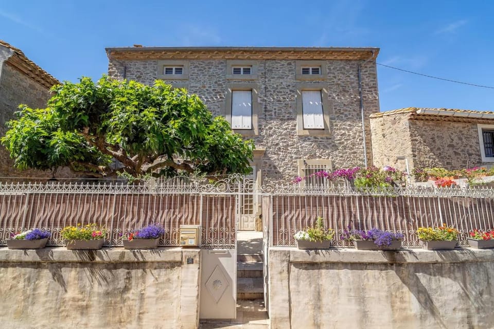 Property building, Garden view