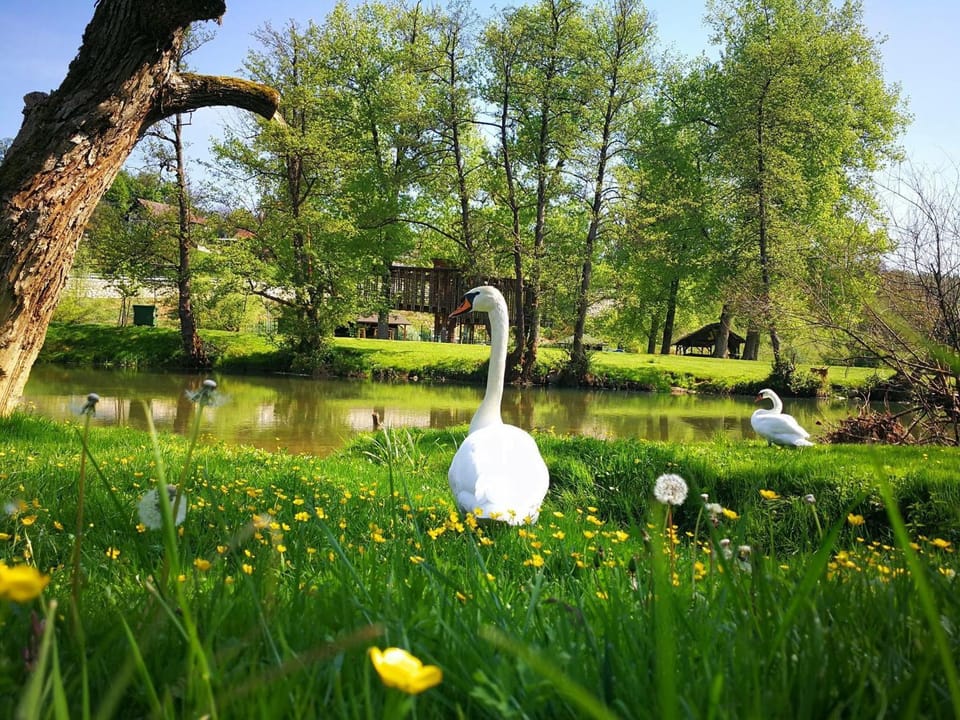 Natural landscape