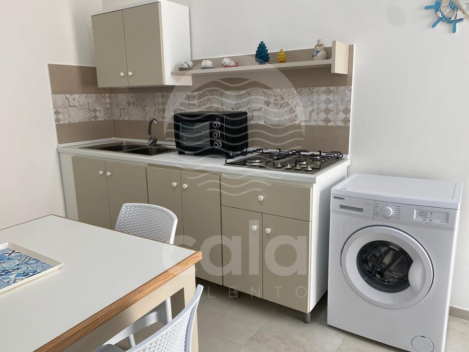 Kitchen or kitchenette, Living room, Dining area, Lunch, washing machine, kitchen