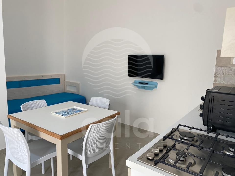 Bed, TV and multimedia, Kitchen or kitchenette, Living room, Seating area, kitchen
