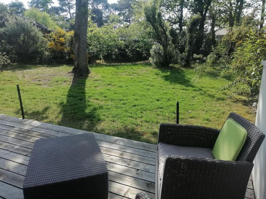 Patio, Garden view