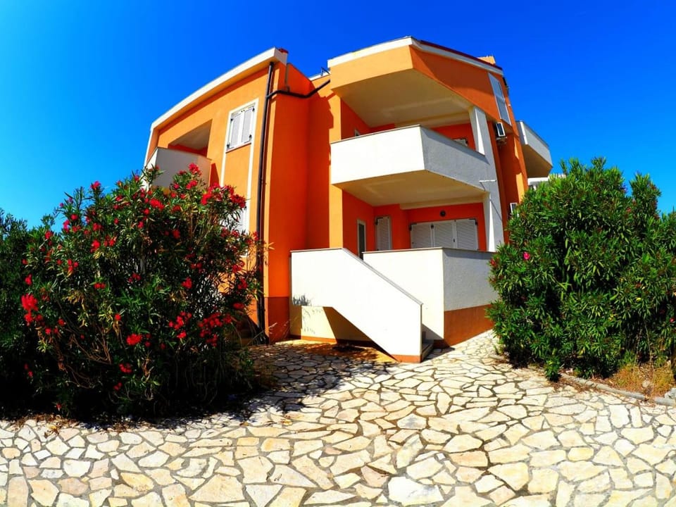 Property building, Day