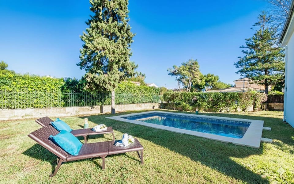 Patio, Garden, Garden view