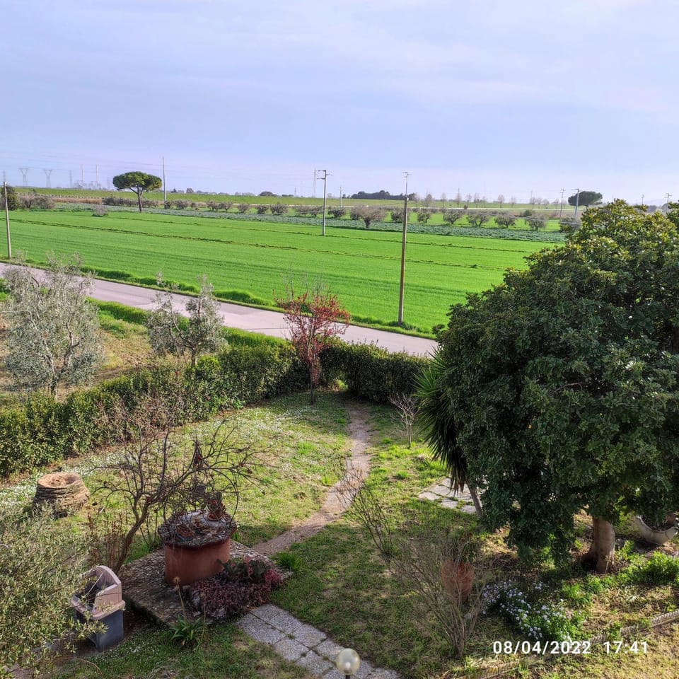 Garden, Garden view