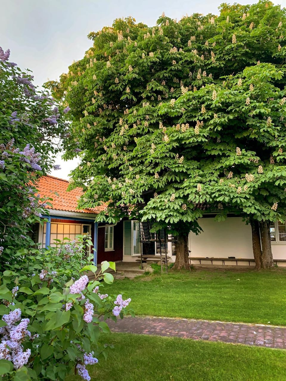 Property building, Facade/entrance, Garden