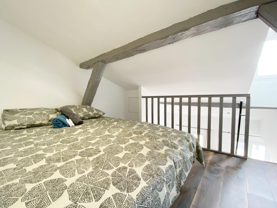 Hypercentre 8 Toulousain bel appartement climatisé Apartment in Toulouse
