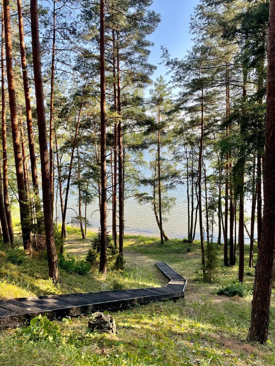 View (from property/room), Beach