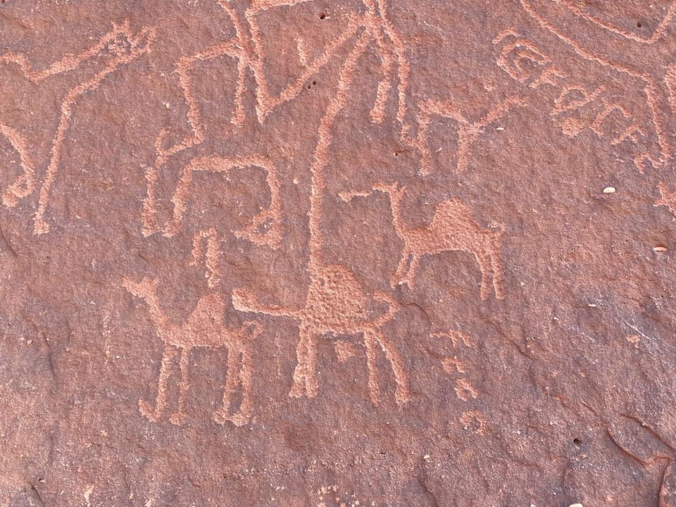 Wadirum Zeid Classic camp Campground/ 
RV Resort in South District