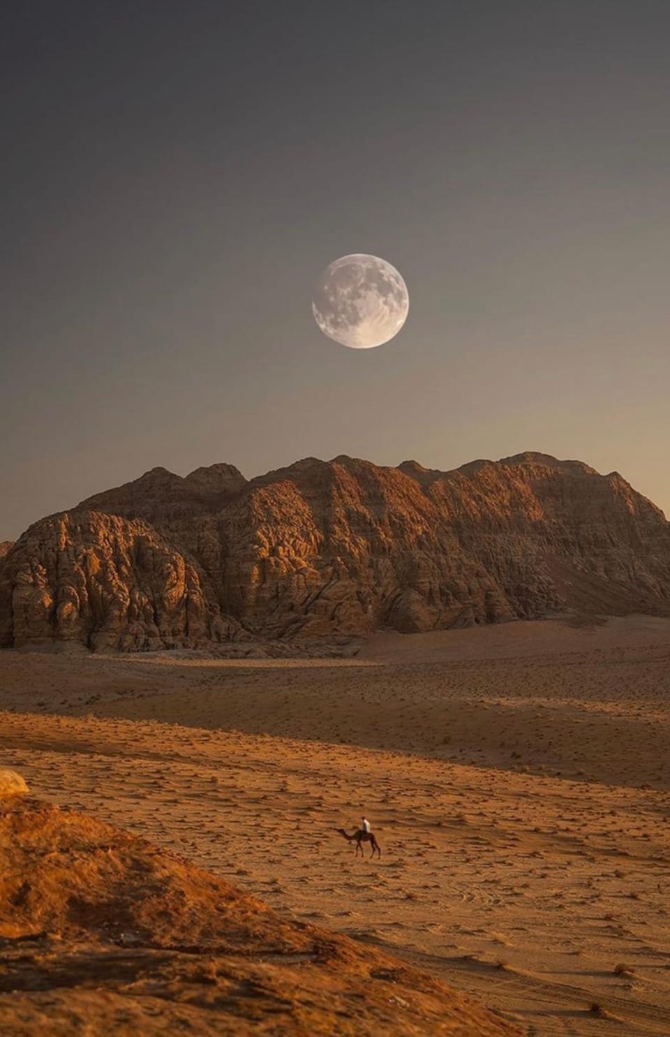 Wadirum Zeid Classic camp Campground/ 
RV Resort in South District