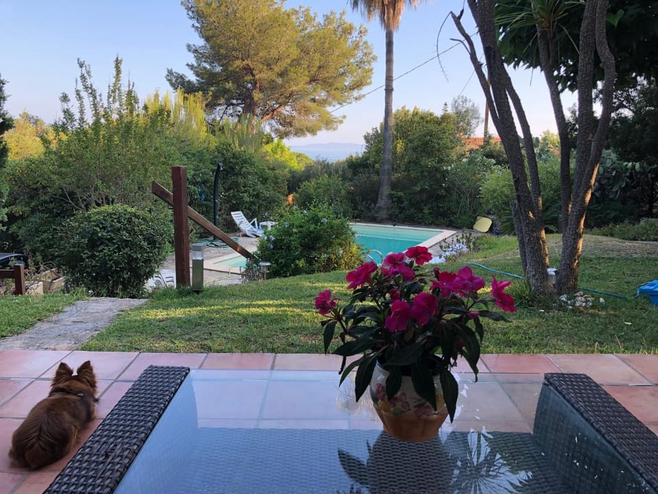 Villa avec piscine au Lavandou dans jardin méditerranéen Villa in Le Lavandou