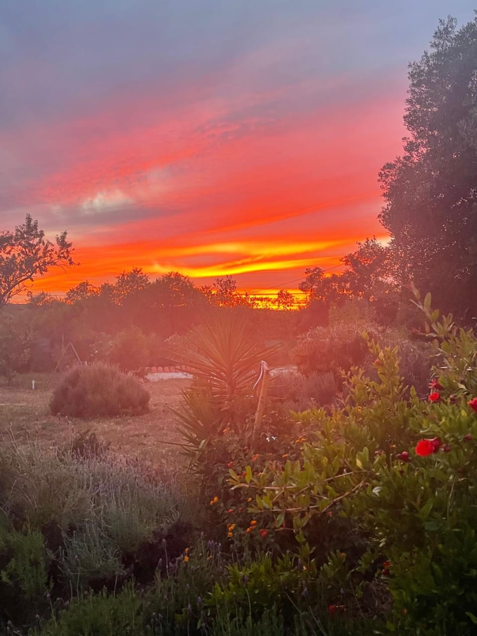 Natural landscape, Sunset