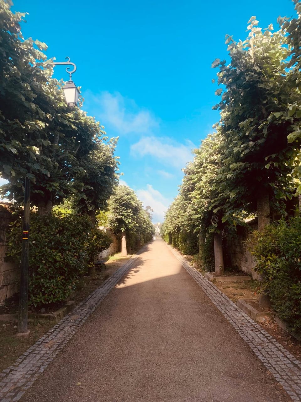 Neighbourhood