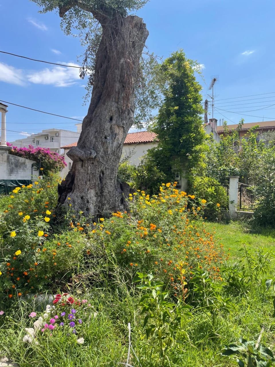 Aurelia Seaside Apartment Apartment in Corfu, Greece