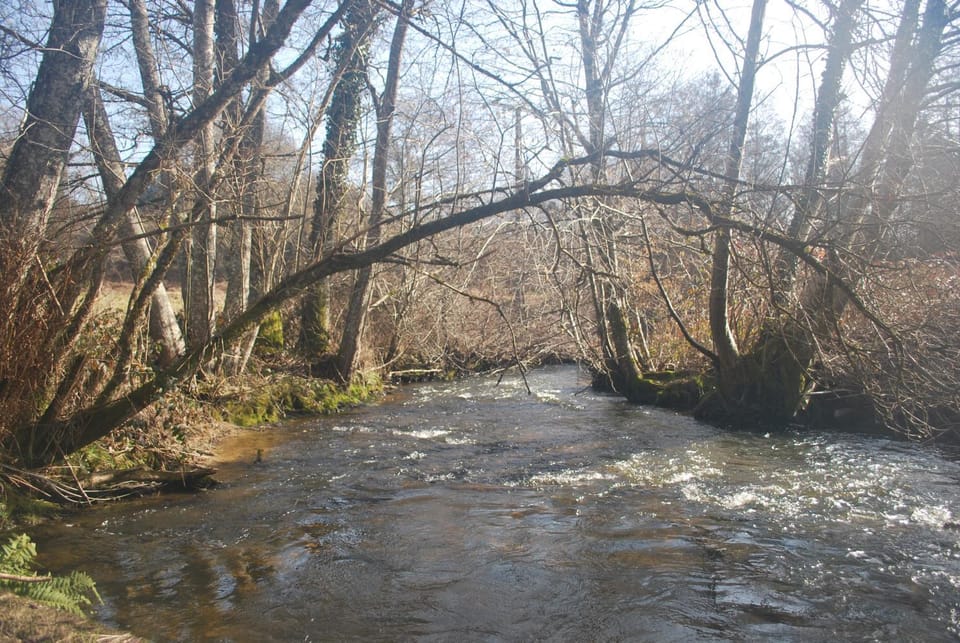 Day, Natural landscape